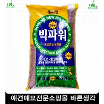 열사병방지소형강아지필수영양소사료 사료잘안먹는강아지