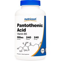 뉴트리코스트 판토세닉 애시드 비타민 B5 500mg, 240캡슐, 1개, 240정