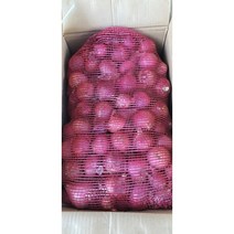 중국양파 중국샬롯 모총샬롯빨간양파 미니양파, 중국샬롯 500g