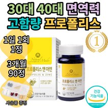 몸속 염증 비염에좋은 면역력 영양제 몸에염증제거 프로폴리스 아연 90캡슐