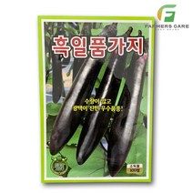 흑일품가지씨앗 100알 가지씨앗 가지 씨앗 씨 가지씨, 1개