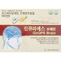 진큐피에스 브레인 500mgx120캡슐 기억력 인지기능개선 두뇌영양제 포스파티딜세린, 단품, 단품