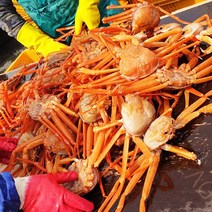산지직송 구룡포 앞바다 연지 홍게 3kg