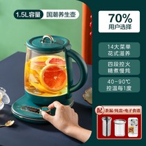 홍삼 약탕기 유리 옹기 홍삼제조기 한약 홍삼내리는기계 중탕기 전기약탕기 녹용 타이머, [레트로 그린]