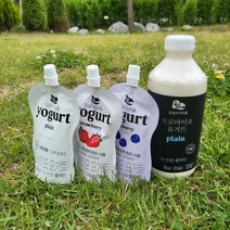 프로바이오 농후발효유 임실치즈요거트 플레인 블루베리 딸기 120ml 6개 / 900ml, 플레인 900ml