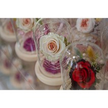 프리저브드 플라워 무드등 시들지 않는 꽃 장미 유리돔, queen red