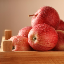 내고향농수산 청송 사과 부사 꿀사과 세척사과 명품 선물세트 사과직거래 가정용 흠집사과 못난이사과 흠과 5kg 10kg, 실속 선물용 5kg 14~16과