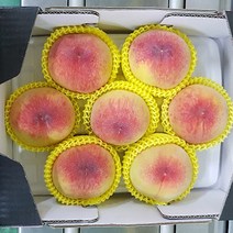 경북 털복숭아 꿀복숭아 말랑이 황도복숭아 2kg 4kg 제철과일, 황도 4kg (14과수내외)