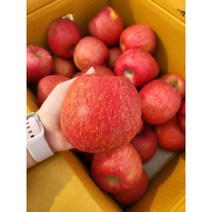 장수사과 친환경 사과 부사 흠집사과 흠사과 1.5KG 2.5KG 5KG 10KG, 대과2.5KG, 1개