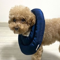 강아지 브리더랩 넥카라 고양이 애견 ufo 목보호대 쿠션 중성화 수술후 행동교정