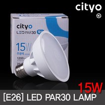 LED PAR30 15W 확산형 E26 (2색상) KS 엘이디램프 씨티, 1, 전구색(노란빛)