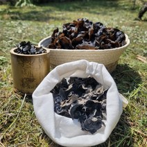 친환경 무농약 국내산 생목이버섯 건 목이버섯 생산자 산지직송, 건목이버섯60g