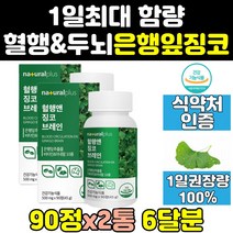 혈행 건강 관리 개선 은행 잎 추출물 징코 빌로바 2통 음식 효능 효과 영양제 제품 혈행에좋은 중년 노인 고농축 플러스 프리미엄 대용량 기억력 고함량 두뇌 고용량 비타민 뇌