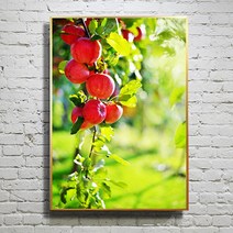 화색갤러리 풍수 인테리어 08 사과 그림 액자 프리미엄 캔버스천으로 인화, 블랙무광