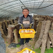 국산 참나무 말린표고버섯 슬라이스 건표고버섯 1kg, 건표고버섯500g