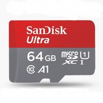 샌디스크 아이패스블랙 ITB-650HD 호환 메모리카드64GB 울트라A1, 64GB