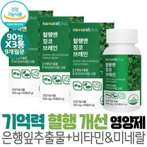 기억 혈행 건강 은행잎추출물 징코 빌로바 아연 구리 망간 면역기능 유해산소 세포보호