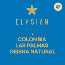 (커피생두) 331 콜롬비아 라스팔마스 게이샤 내추럴 1kg, 1개