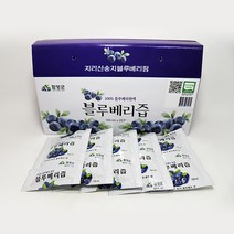 지리산 유기농 블루베리즙 100ml X 20포 국산 국내산, 블루베리즙20포, 블루베리즙20포