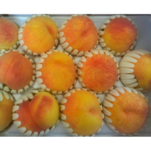 고당도 꿀당도 산지직송 특상품 황도복숭아 4KG 황도 복숭아 제철과일 복숭아 햇사레 복숭아, 황도복숭아4KG(11-12과)
