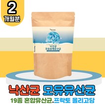 대용량 낙산균 모유 유래 유산균 1팩 150g 분말 파우더 가루 뷰티르산 락토바실러스 가세리 루테리 퍼멘텀 플란타룸 유상균 잦은방귀 속더부룩 배변활동 장건강 장내유익균 청소년 수험생 남자 여자 홈쇼핑 직구 L-ARGININE