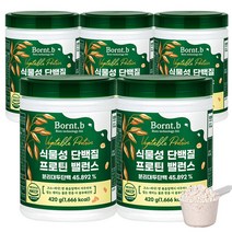 본트비 맛있는 식물성 단백질 프로틴 밸런스 BCAA, 5통, 420g