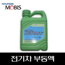 전기차 부동액 07100J2B20