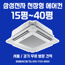 삼성 천장형 에어컨 무풍 인버터 시스템 에어컨 30평 냉난방기 (AC110RA4PBH1SY)