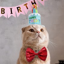 강아지 생일상 돌상 돌잔치 고양이 생일초머리띠 케이크 모자 반려견 애완동물 펫, 블루