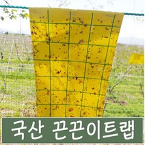 황색 끈끈이 트랩 양면 50 장 국산 갈색날개매미충 방제, 1개입, 50개