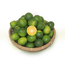 햇 제주 청귤(풋귤) 무농약 10kg 5kg 당일수확 농장직송, 무농약 청귤(풋귤) 5kg, 1개