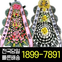 전심플라워즈 당일빠른배송 근조화환 장례식화환 축하화환 배달 3단화환 전국화환꽃배달 빠른배송 부고 추모 축하 개업화환