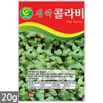 새싹재배기 소형 - 새싹 재배기 세트 새싹씨앗 21종 새싹 보리 브로콜리 케일 청경채 보리씨앗 보리새싹씨앗 새싹보리 보리씨 새싹씨앗보리, 21_새싹씨앗_콜라비(20g)