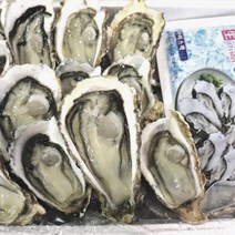 베리타임 산지직송 통영 굴 시세 섬진강택배 제철 자연산석 바위 반각 석화 하프 셀 쉘 햇 생 굴 1kg 2kg 5kg 철 찜 전 주문 맛집 해산물 요리 효능 왕 돌 굴, 자연산바위굴5kg
