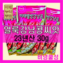 23년산 국산 얼룩 강낭콩 씨앗 30g -비넝쿨성품종 bean seeds