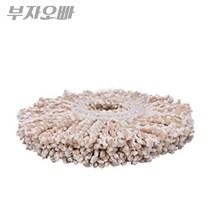 추가 리필걸레 회전걸레청소기 걸레회전탈수 걸레리필 봉 밀대 물, fir 리필걸레(파스텔용)