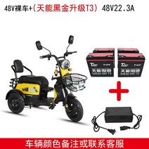 3륜 전기 오토바이 전동 전동차 2인승 삼륜 스쿠터, 02.48V 22A 배터리 충전기
