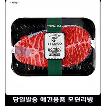 방울 아기고양이용품 아기고양이키우기 고양이물품
