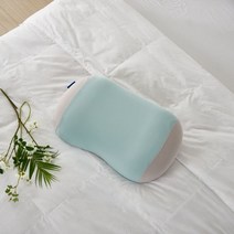 까르마 헤드슬립 메모리폼 베개 M