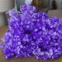 드라이플라워 다채로운 보존 된 수국 홈 인테리어 웨딩 장식 작은 잎 안나 에폭시 수제 DIY 재료, 23 Color 68B_02 10g