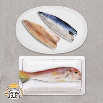 제주올레마켓 싱싱제주 고등어살210gx3팩+통옥돔170gx2팩(냉동), 단품