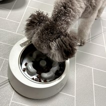 반려동물 강아지 밥그릇 급체방지 저울 1구 소형 중형견 댕댕이, 1개