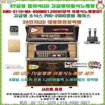 금영 TV일체형 이동식노래방기계세트 KMS-S110장착형/2900PLUS케이스타입/24형TV장착/금영 정품/요양원-마을회관-회사휴계실-문화센터용 일체형노래방주기세트/세림전자, 4채널앰프 무선마이크타입