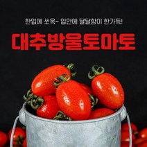 대추방울토마토 3kg(4-5번과), 단일속성, 1개