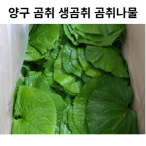 싱싱한 곰취나물 곰취 1kg 양구 양구곰취 제철나물 장아찌용 쌈용 국내산 국산 곰 취