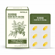 매스틱 메스틱 마스틱 검 분말 오일 캡슐 정 그리스 키오스 매스틱 식물성오일매스틱 매스틱테르펜