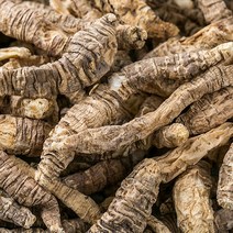 봉래 국산 더덕 사삼(통) 600g/한방/건강/약초/약재 식품 > 신선식품 채소류 뿌리채소 도라지, 1, 600g, 600g” class=”wr-img”></a></div></p></div></p></div></p></div><div class=