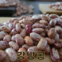 밥보야 22년산 국산 강낭콩 양대 호랑이콩 1kg, 1개