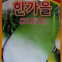 [가람종묘사] 한가을무 씨앗30g(근비대가 빠르고 근맵시와 맛이 좋은 가을무 품종)