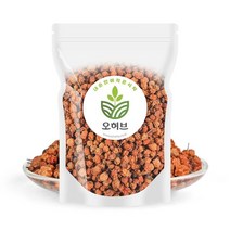 [천삼백케이] [오허브] 국내산 마가목 열매 마가열매 마가자 250g, 단품